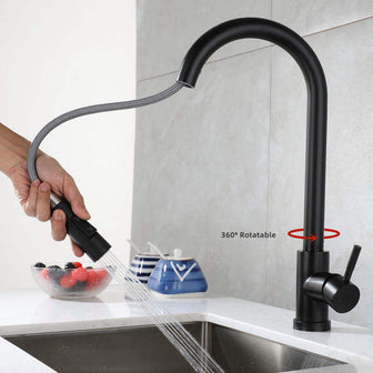 Black Pull out kitchen taps Main image