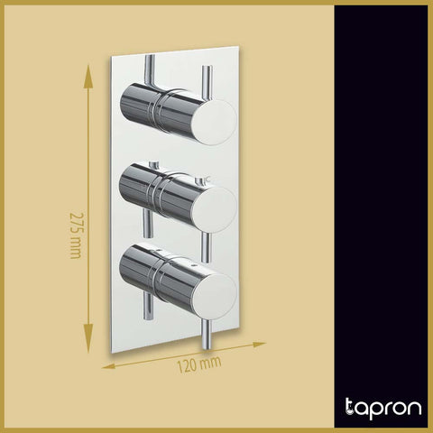 2-Outlet Concealed Thermostatic Diverter Shower Valve-Tapron