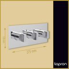 Concealed Thermostatic Shower Mixer Valve with Twin Outlet-Tapron