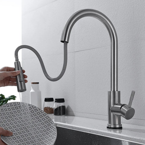 Tapron Kitchen Tap with Pull Out Spray