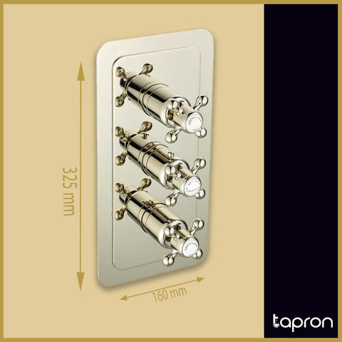 Nickel Traditional 2 Outlet Concealed Shower Mixer Valve – Tapron