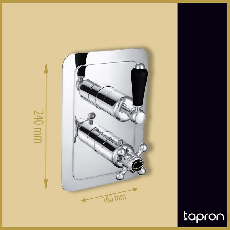  Wall Mounted Shower Valve -Tapron