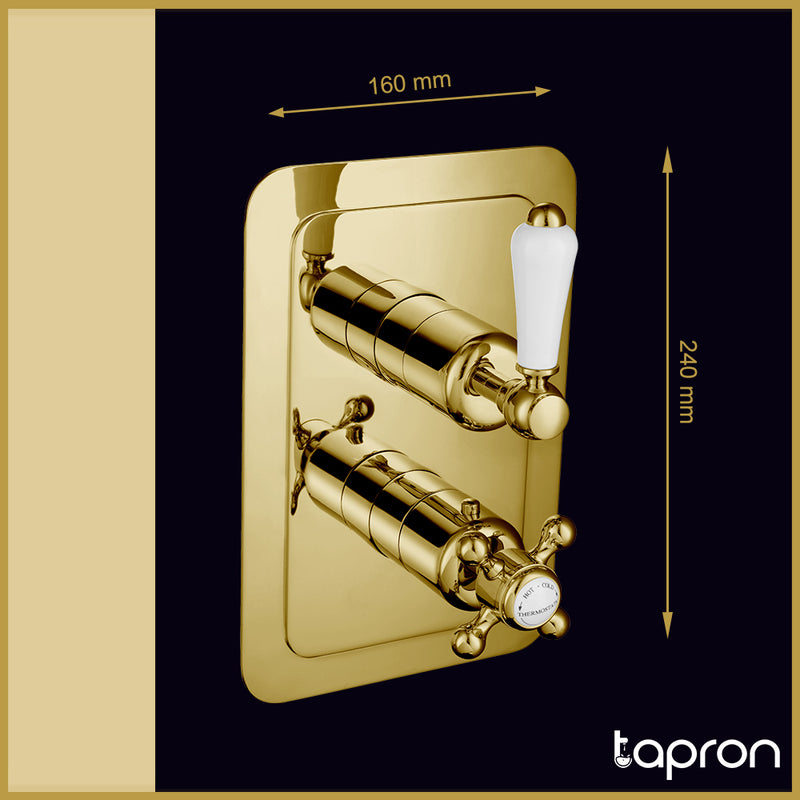 Single Outlet Gold Shower Mixer Valve-Tapron