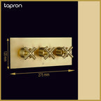 Brushed Brass Dual Outlet Thermostatic Shower Mixer Valve - Tapron