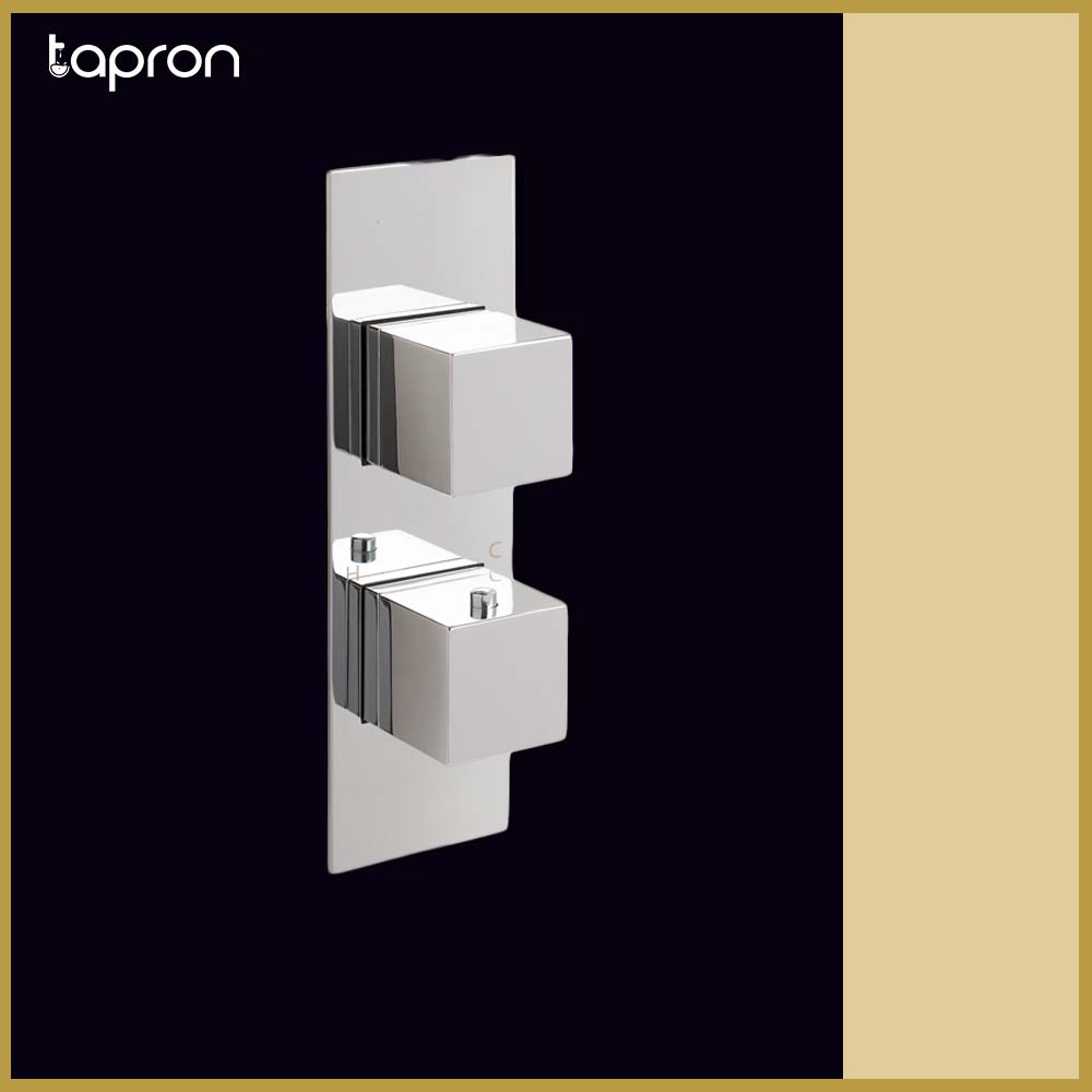 Single Outlet Concealed Chrome Shower Valve-Tapron
