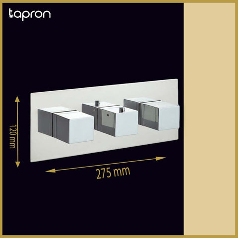 Horizontal 2 Outlet Thermostatic Shower Valve-Tapron