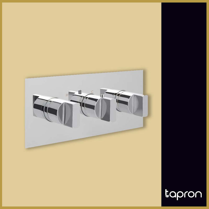 Concealed Thermostatic Shower Mixer Valve with Twin Outlet-Tapron