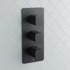 Thermostatic Concealed 2 Outlet Shower Valve Vertical