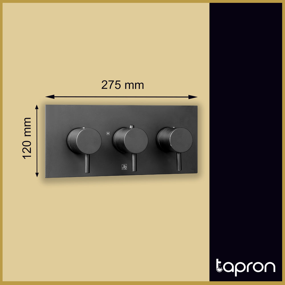 Matt Finish Thermostatic Concealed 2 Outlet Shower Valve, Horizontal-Tapron