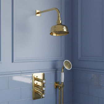 Vintage style gold shower head and arm set Main image