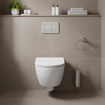 Wall-Mounted Toilet Brush and Holder - Stainless Steel Main image