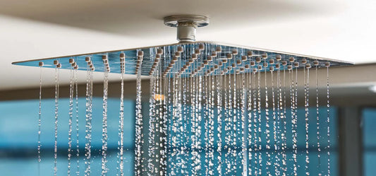 The Main Component in Your Bathrooms No One Is Telling You About!