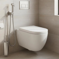 Brushed Stainless Steel Douche Spray Kit with Temperature Control