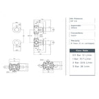 Black 2 Outlet Shower Valve