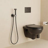 cold water toilet douche spray - gun metal 