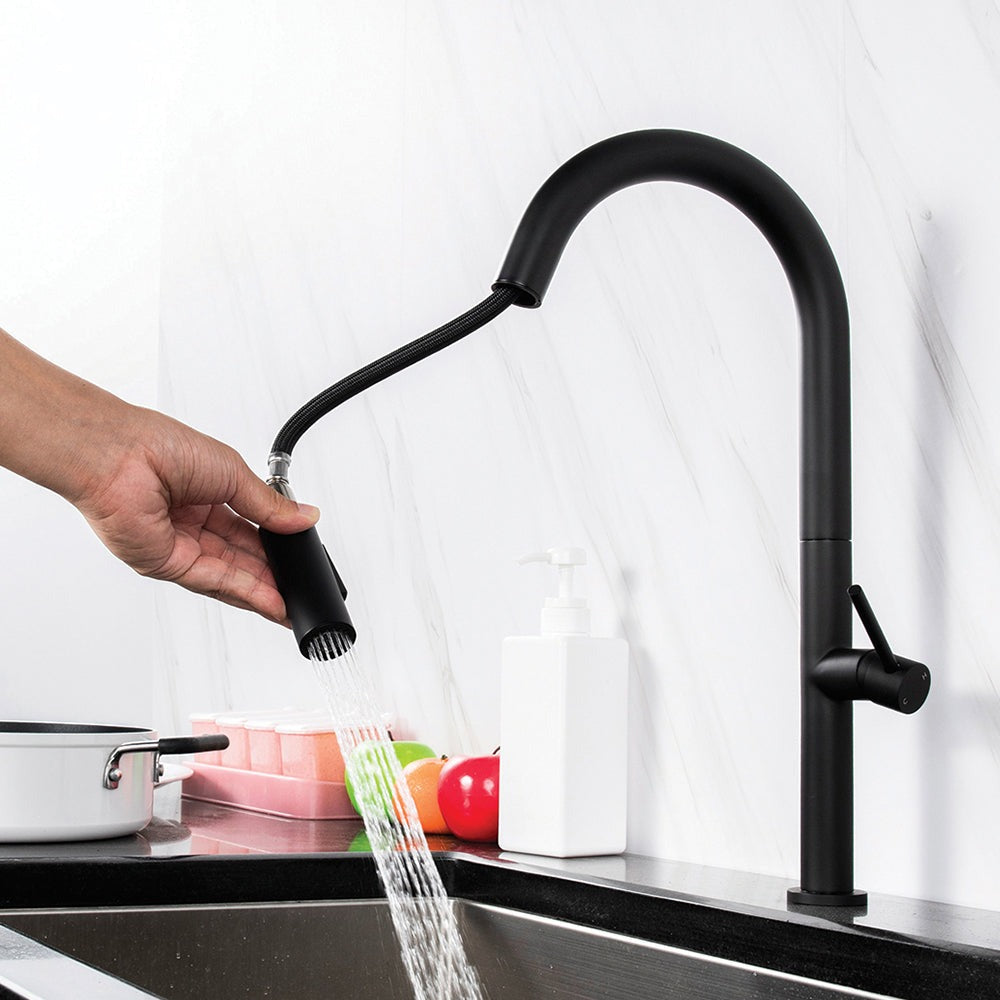 Modern Matt Black Pull Out Kitchen Tap
