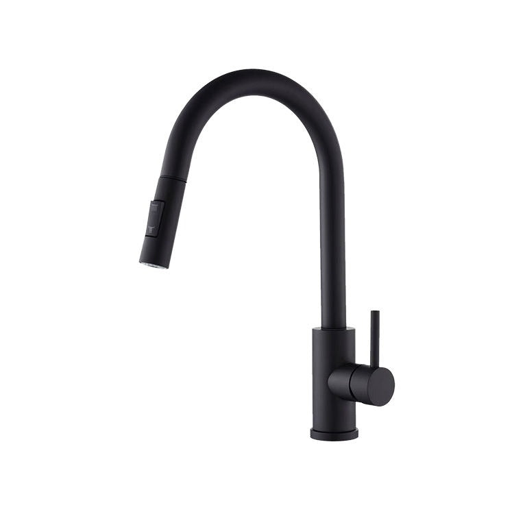 Elegant Black Kitchen Mixer Tap with Pull-Out Spray - Modern and Functional