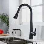 Black kitchen tap with pull out spray