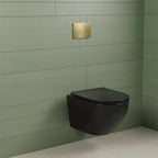 black rimless toilet with brushed brass flush plate and 1.2m concealed cistern frame
