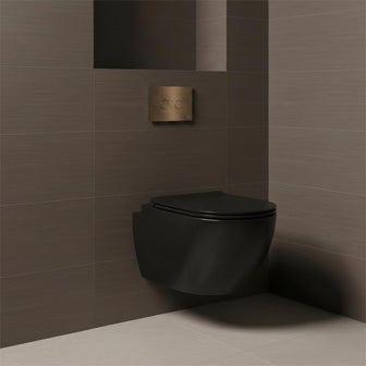 bronze WC flush plate with wall hung toilet and concealed cistern frame Main image