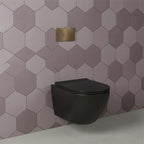 bronze dual flush plate with black wall hung toilet and 1.2m conceled cistern with frame