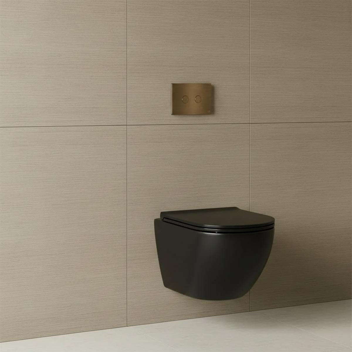 bronze flush plate with dual flush  concealed cistern and wall hung toilet 