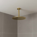 brushed brass ceiling fix shower head 150mm
