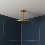 brushed brass ceiling shower head and arm 