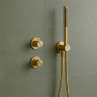 brushed brass handheld shower head with hose and holder 