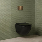 brushed bronze dual flush plate, black wall hung toilet with concealed cistern frame