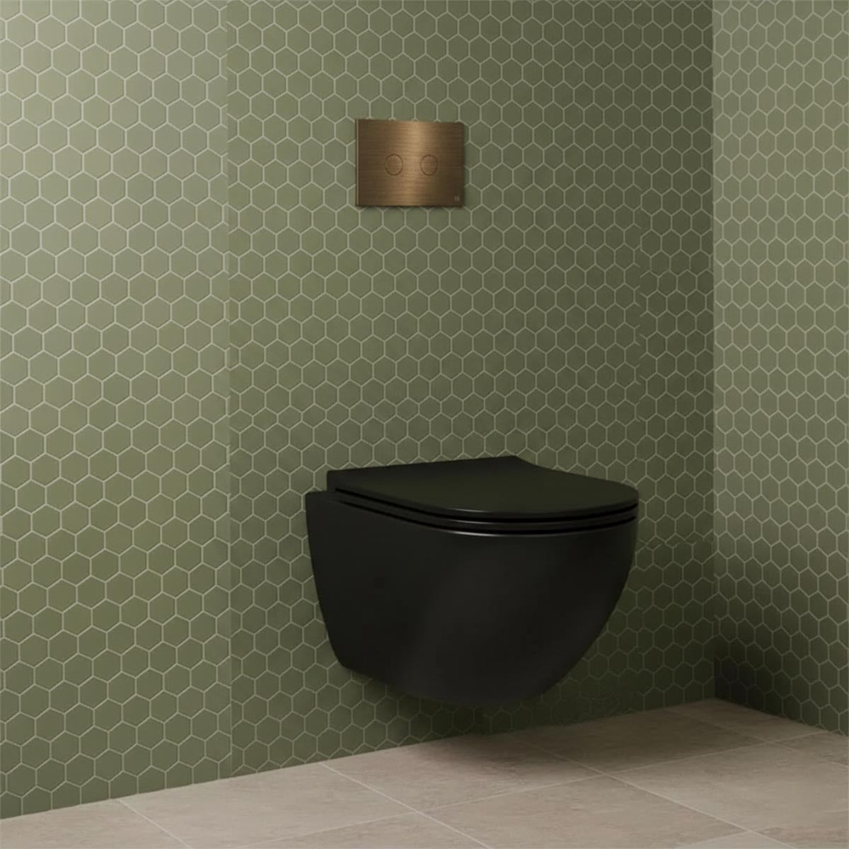 brushed bronze dual flush plate, black wall hung toilet with concealed cistern frame