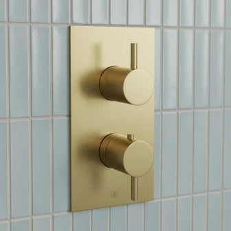 brushed brass 2 outlet concealed shower valves Main image