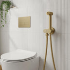 cold water douche kit - brushed brass