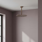 brushed bronze ceiling shower arm and shower head