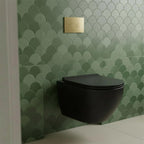 dual flush concealed cistern with frame and wall hung toilet