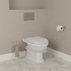 dual flush plate dual flush plate Victorian style - nickel 