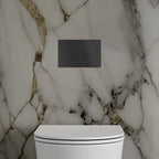 toilet flush plate black