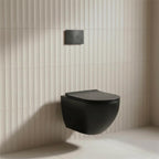 freestanding WC cister frame with black dual flush plate and wall hung toilet 
