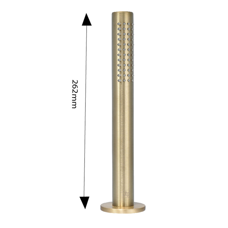 gold pullout shower handle with overflow waste drainer