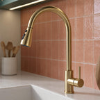 gold kitchen tap with pull out spray