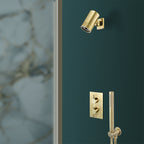 gold shower handle with hose