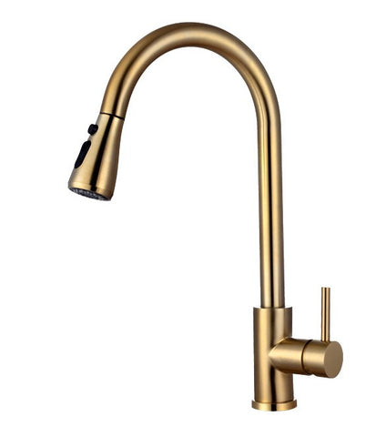 Brushed Gold Kitchen Tap with Pull Out Spray