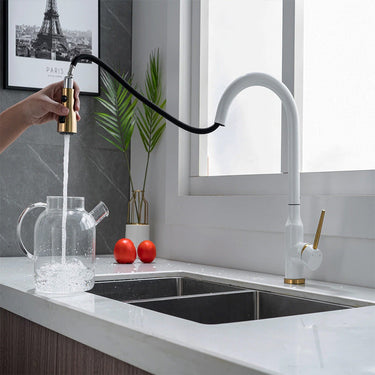 kitchen_sink_mixer_tap_tapron