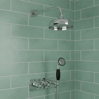large traditional shower head and arm