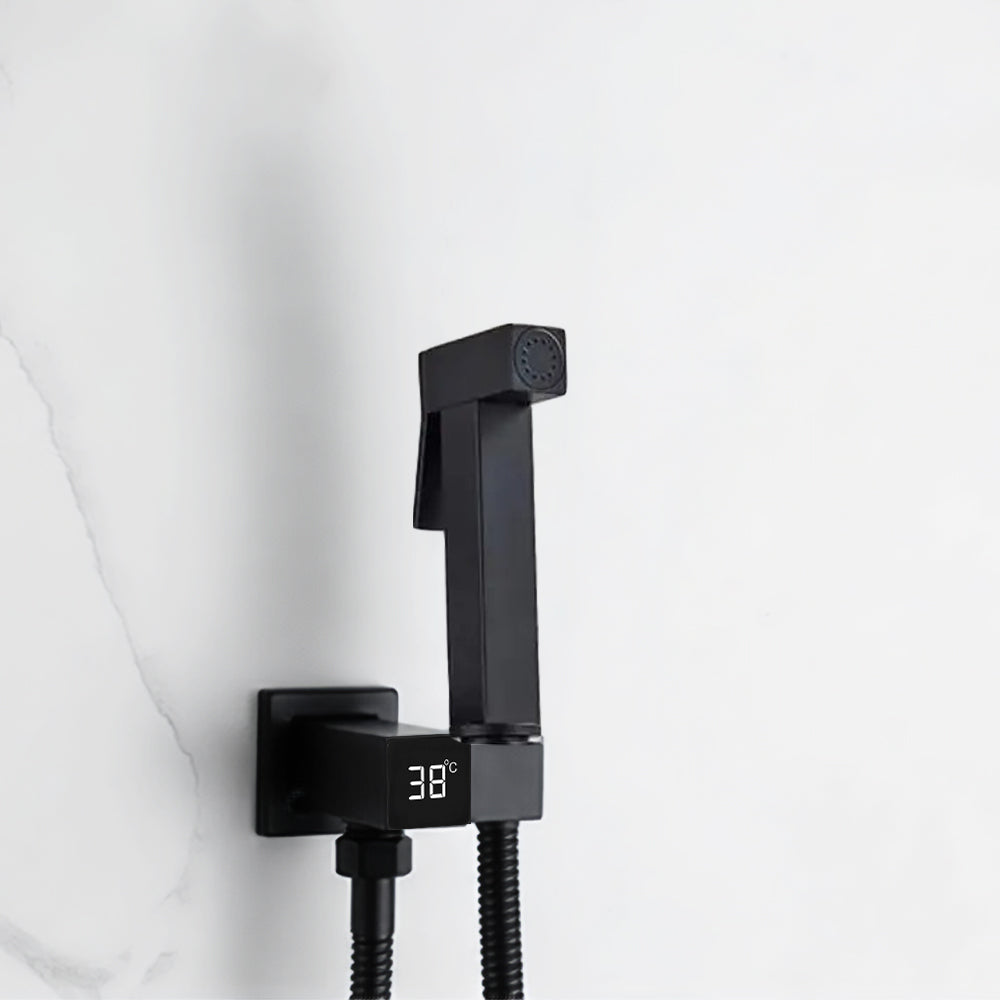 Black Douche Kit with Digital Temperature Display Holder Secondary image