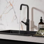 black kitchen mixer tap