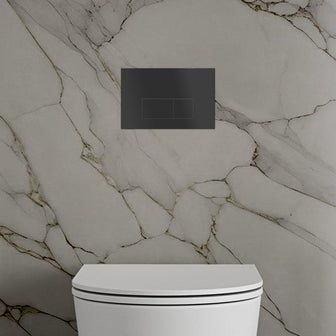matt black toilet flush plate  Main image