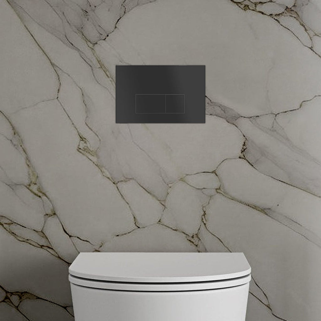 matt black toilet flush plate 