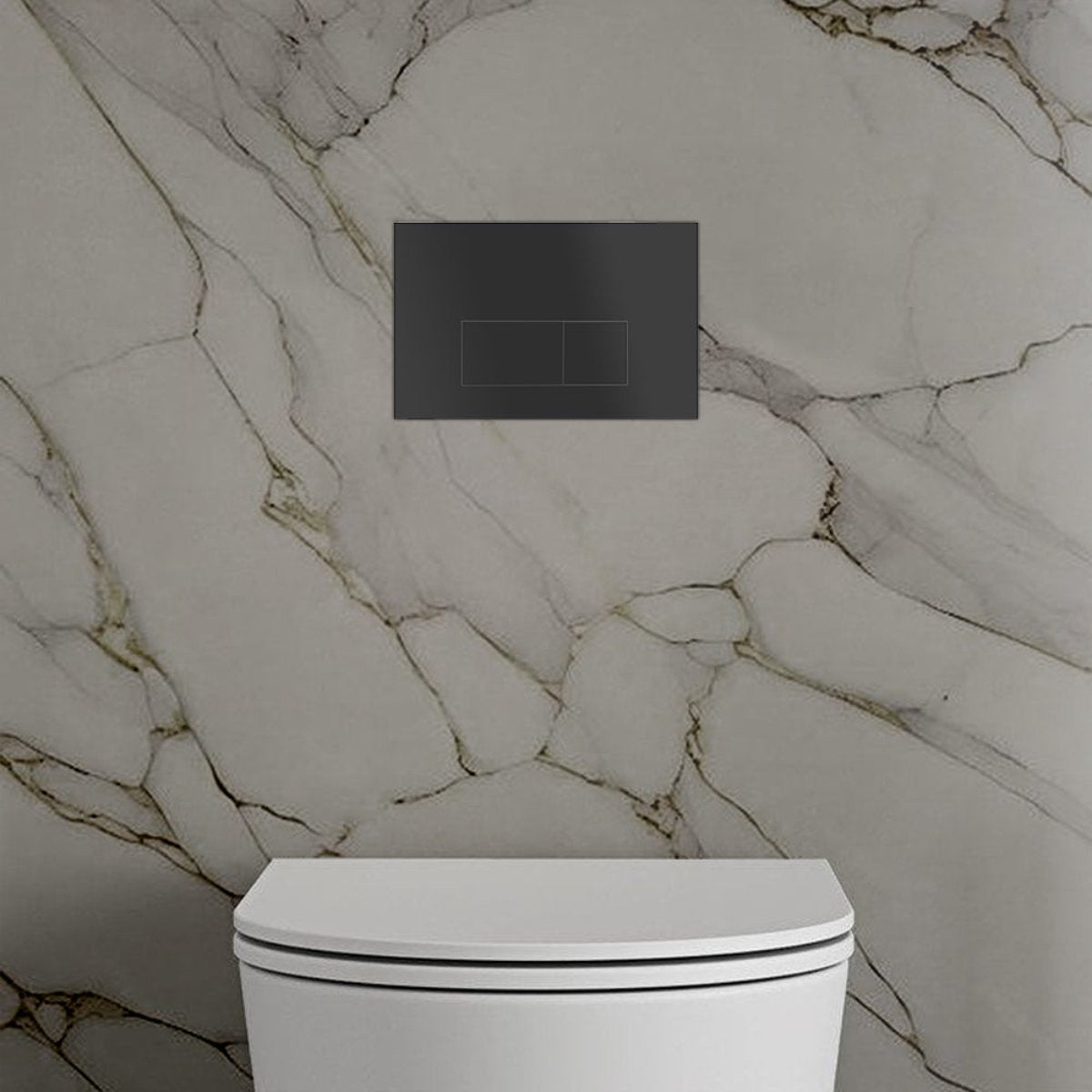 matt black toilet flush plate 