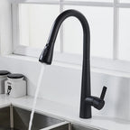 black kitchen mixer tap with hose
